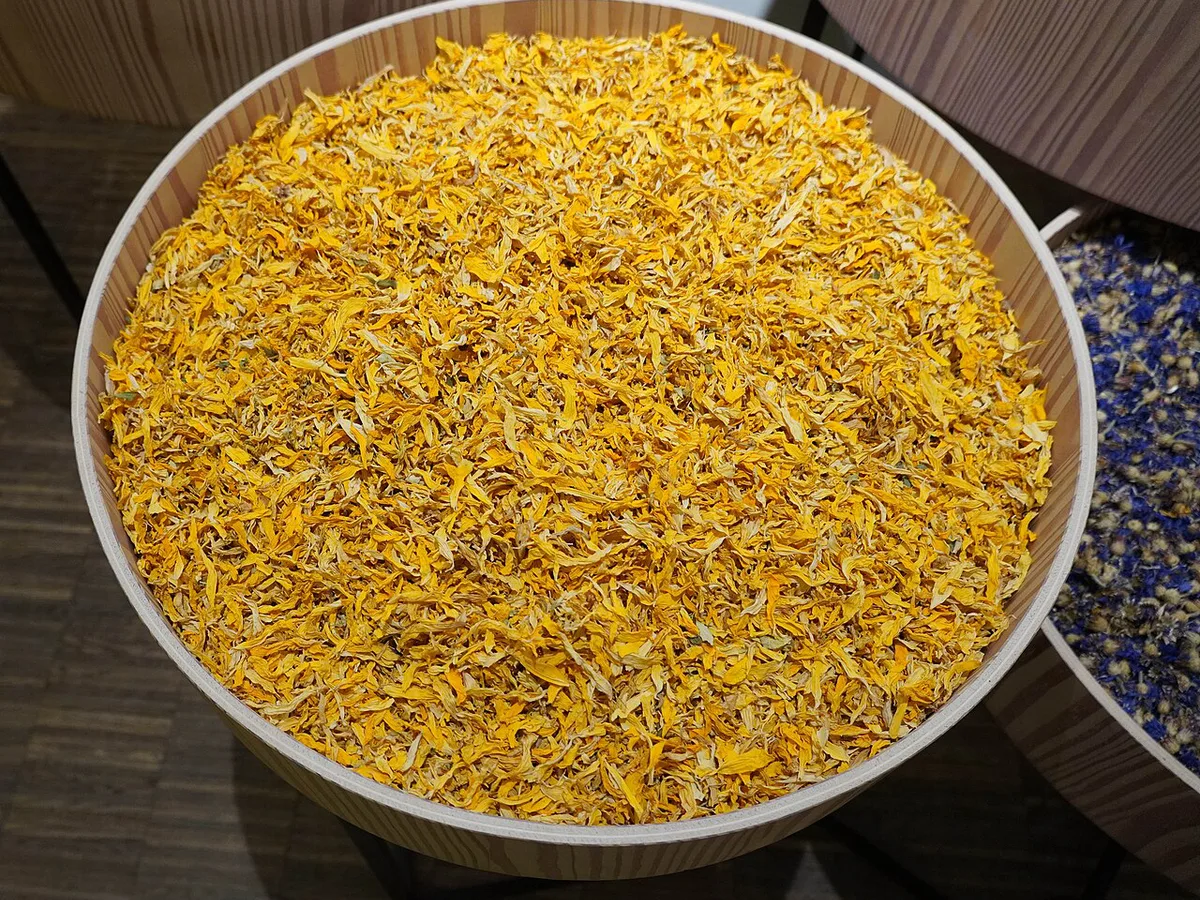 Calendula Flowers