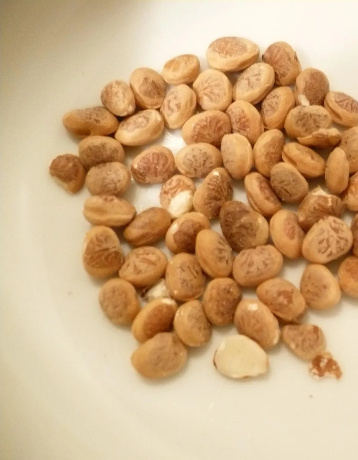 Chironji Seeds