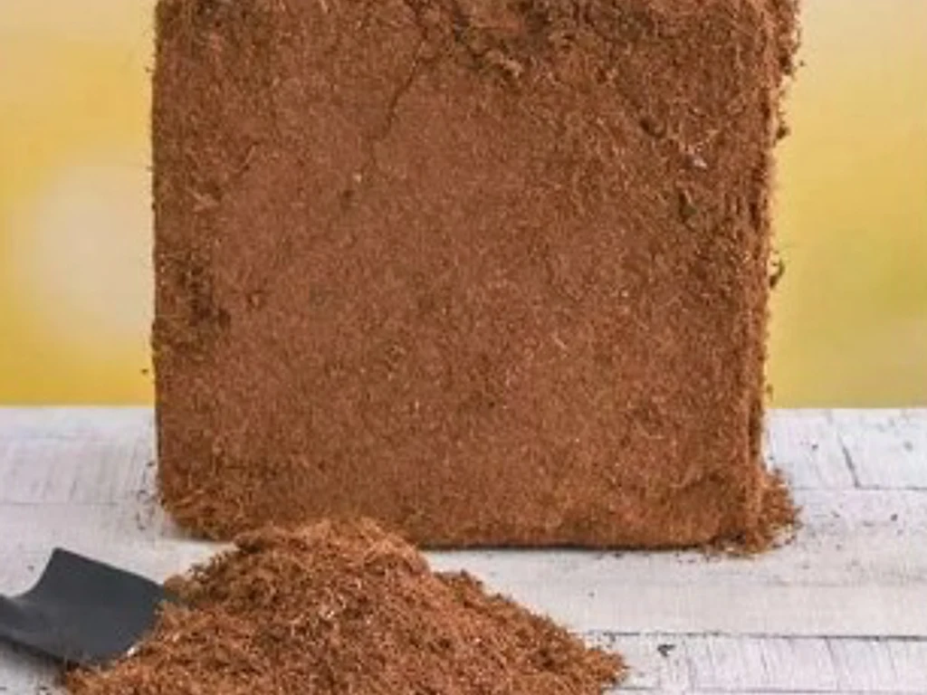 Cocopeat — compressed blocks (5 kg), exported from India