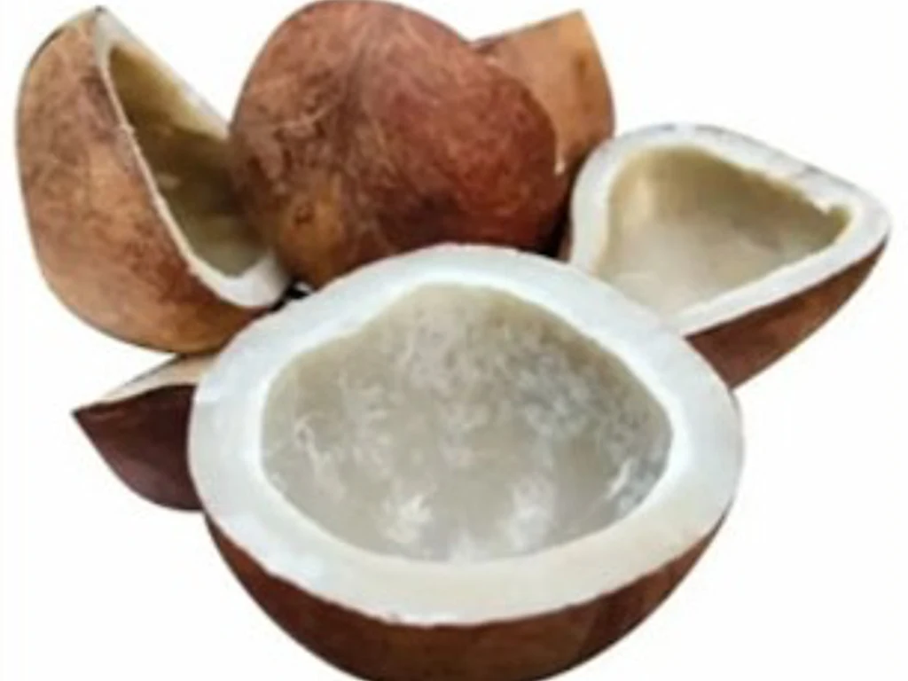 Dry Copra