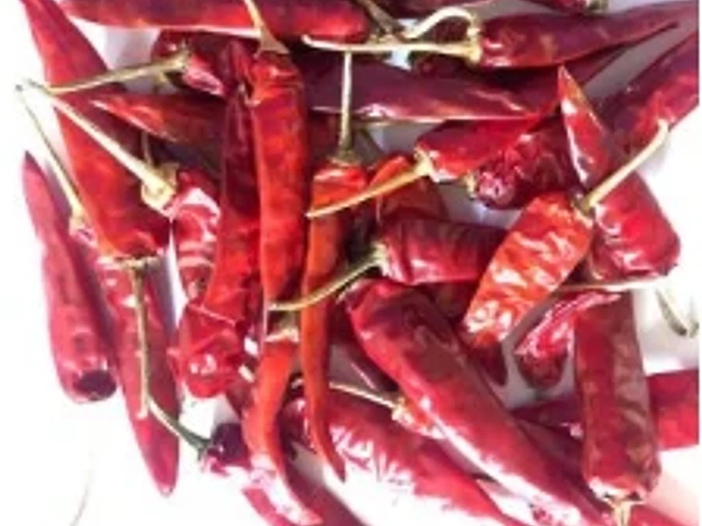 Endo 5 Chilli — with stem, exported from India