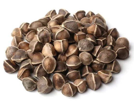 Moringa Seeds