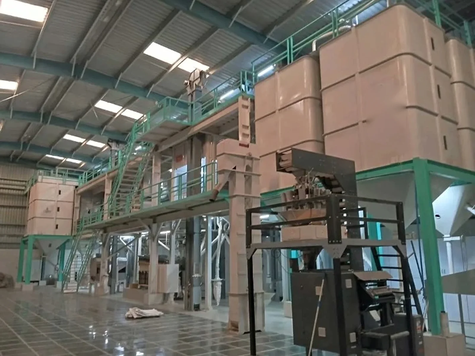 Cleaning and grading line with storage bins