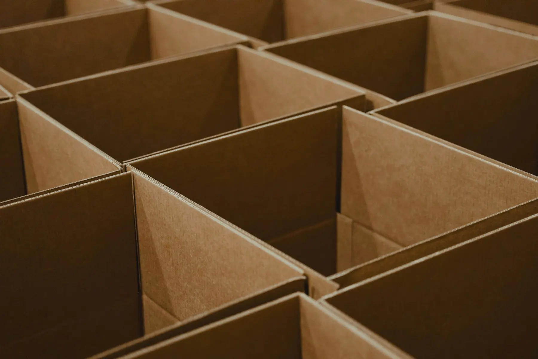 Export cartons